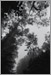 Fine Art Photo 7