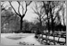 Fine Art Photo 11