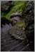 Fine Art Photo 16