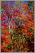 Fine Art Photo 17