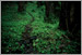 Fine Art Photo 4