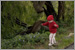 Children Portraits Photo 9